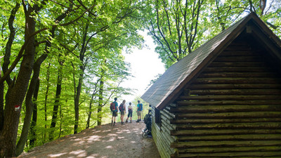 Eine Blockhütte auf dem Kalmit im Pfälzerwald